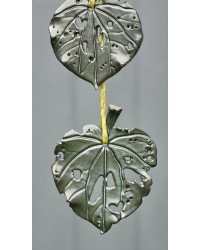 Kawakawa Taonga